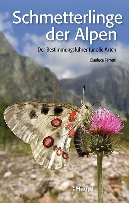 Vorderes Coverbild Schmetterlinge der Alpen