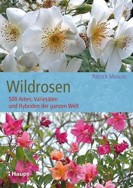 Vorderes Coverbild Wildrosen