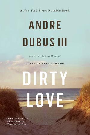 Vorderes Coverbild Dirty Love