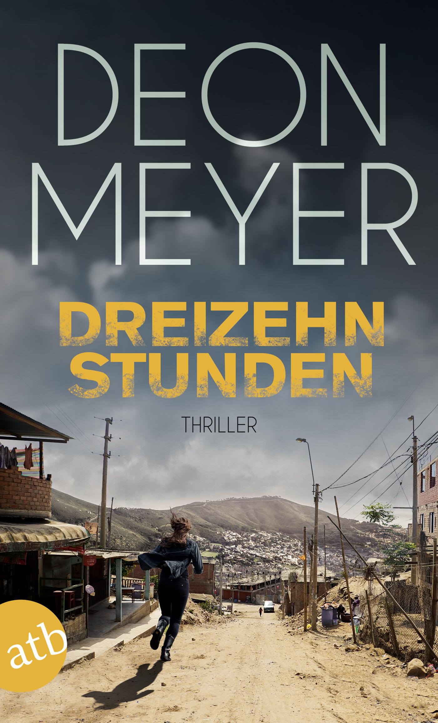 Vorderes Coverbild Dreizehn Stunden