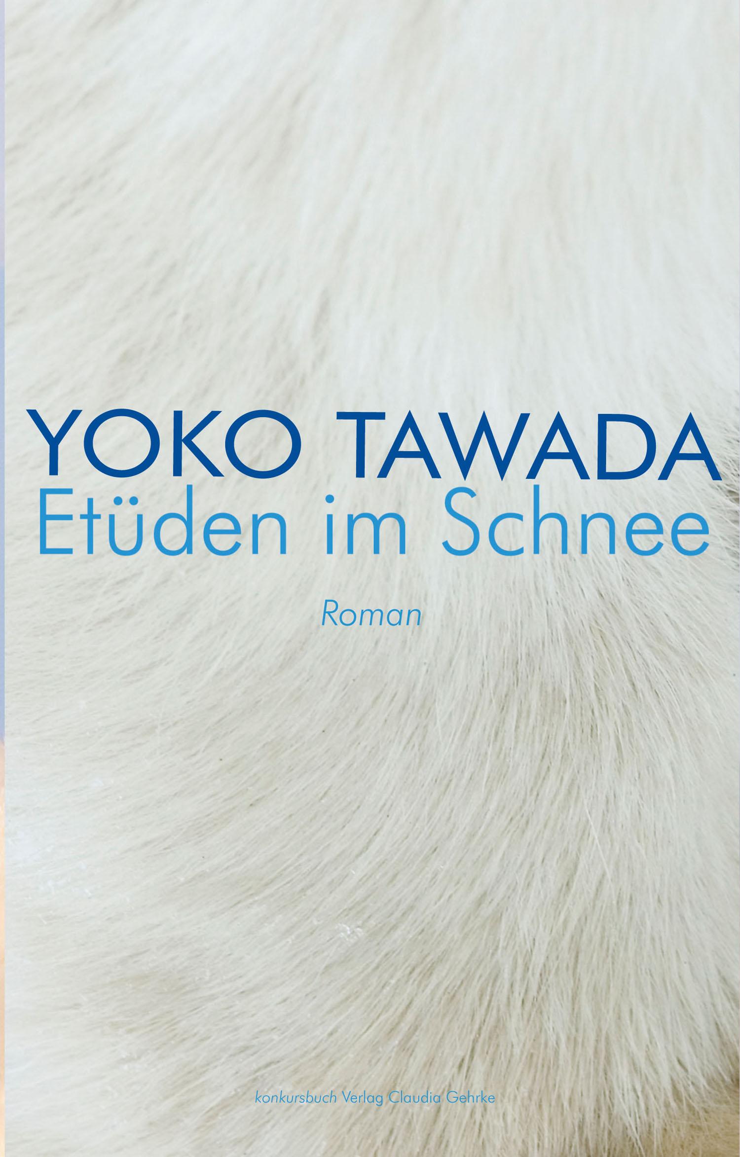 Vorderes Coverbild Etüden im Schnee