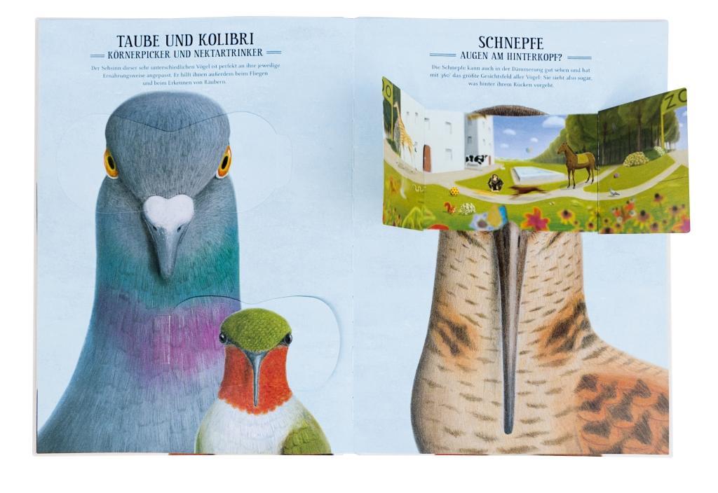 Beispielinhalt (Bild) Was sieht eigentlich der Regenwurm?