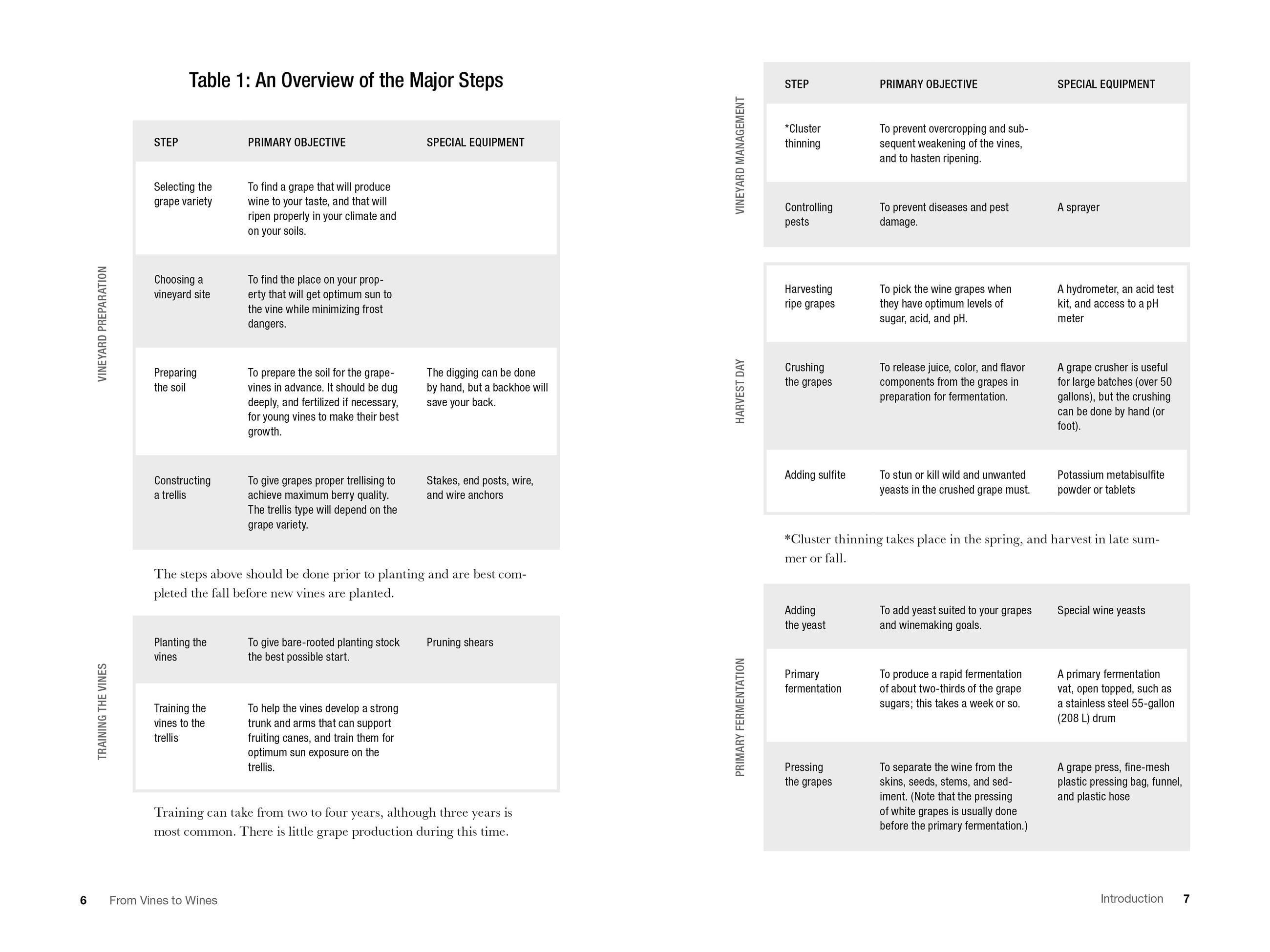 Beispielinhalt (Bild) From Vines to Wines, 5th Edition