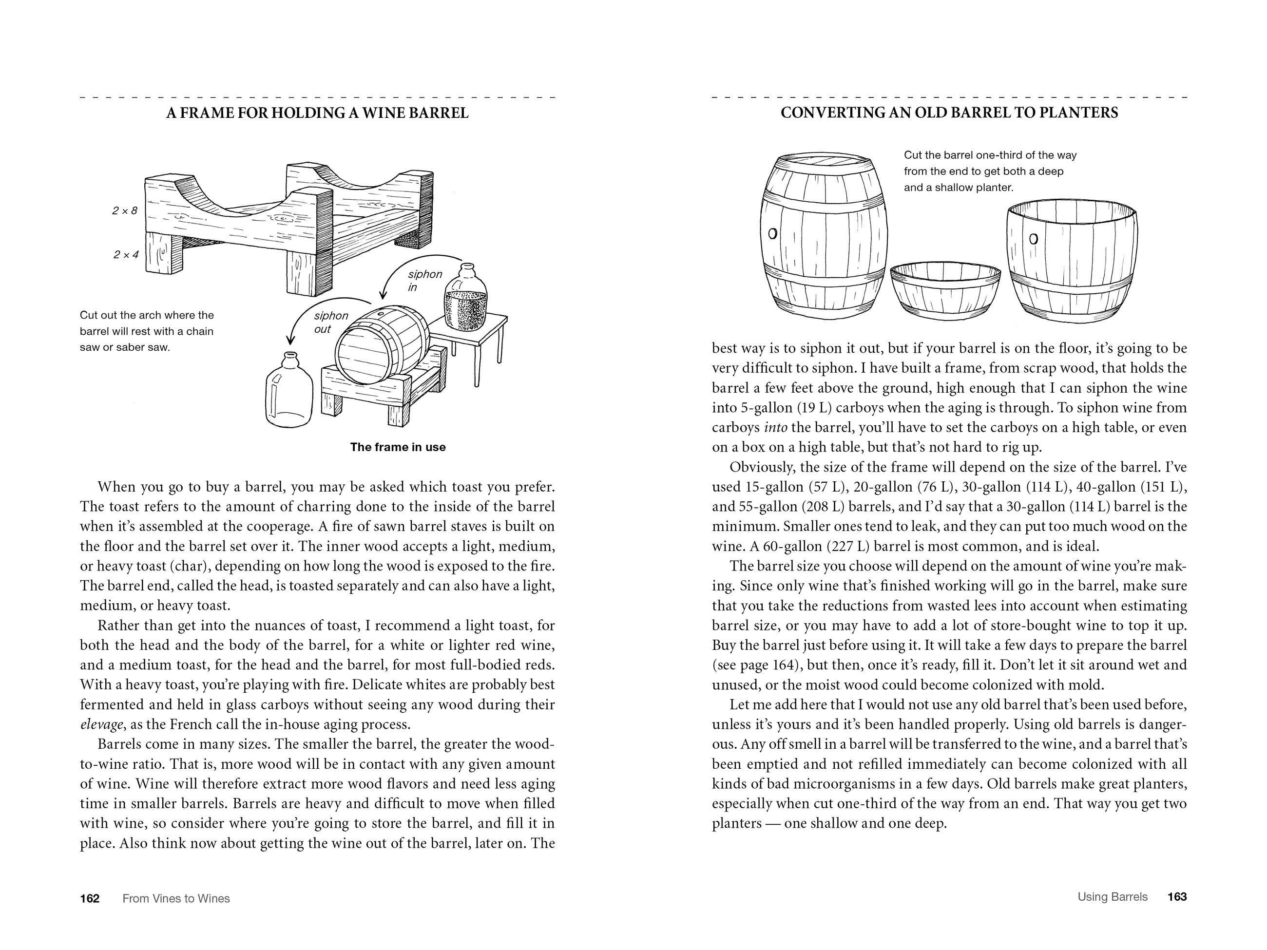 Beispielinhalt (Bild) From Vines to Wines, 5th Edition