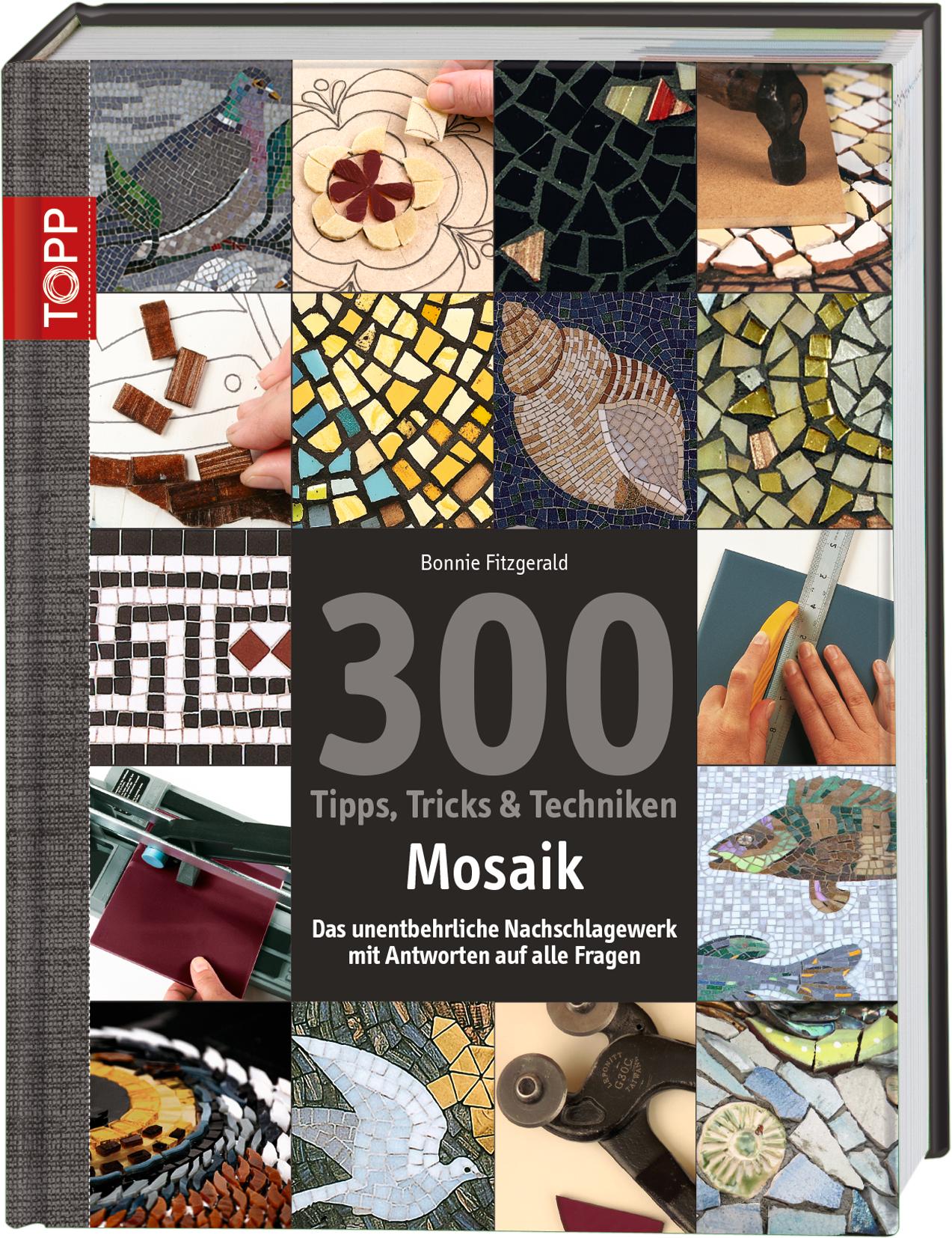 Vorderes Coverbild 300 Tipps, Tricks & Techniken Mosaik