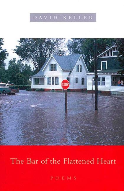 Vorderes Coverbild The Bar of the Flattened Heart