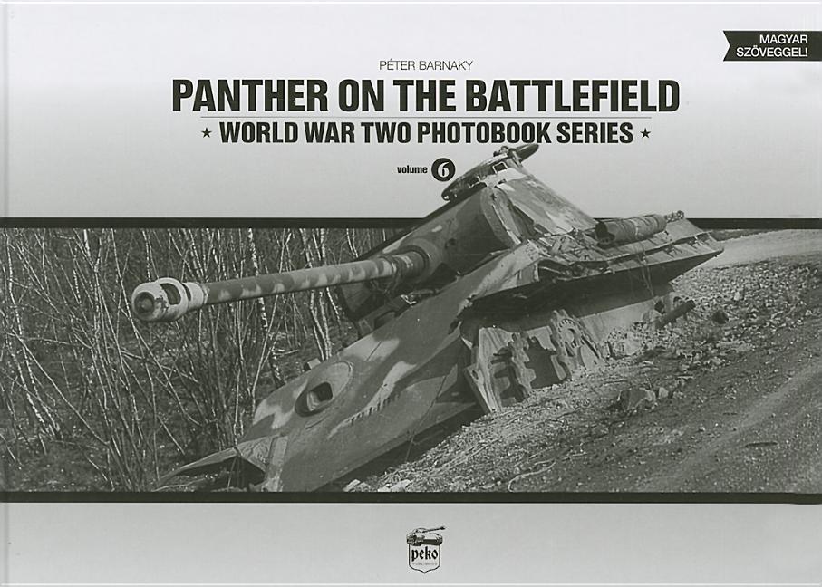 Vorderes Coverbild Panther on the Battlefield