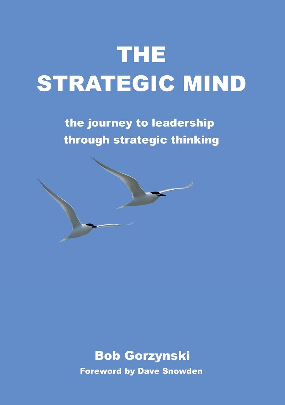 Vorderes Coverbild The Strategic Mind