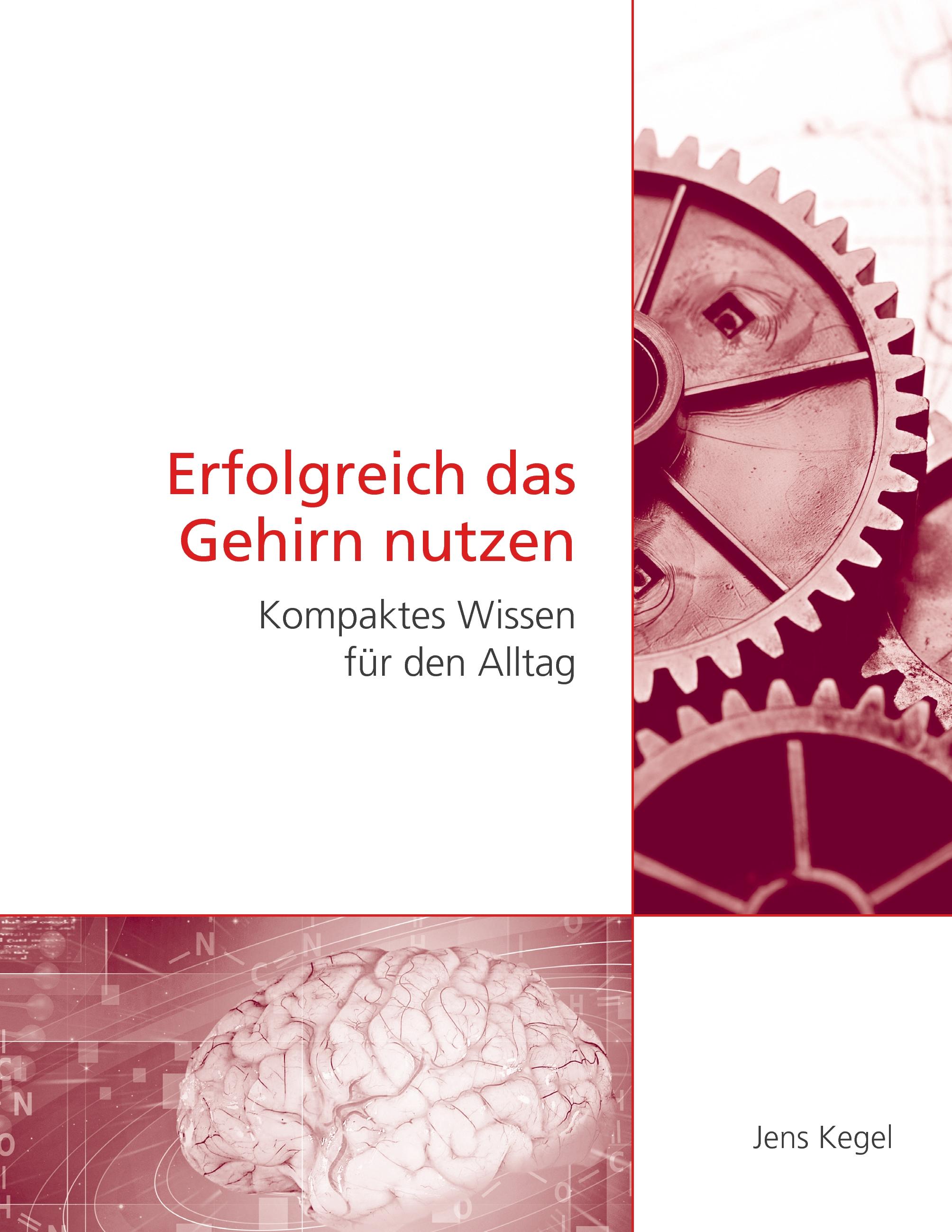 Vorderes Coverbild Erfolgreich das Gehirn nutzen