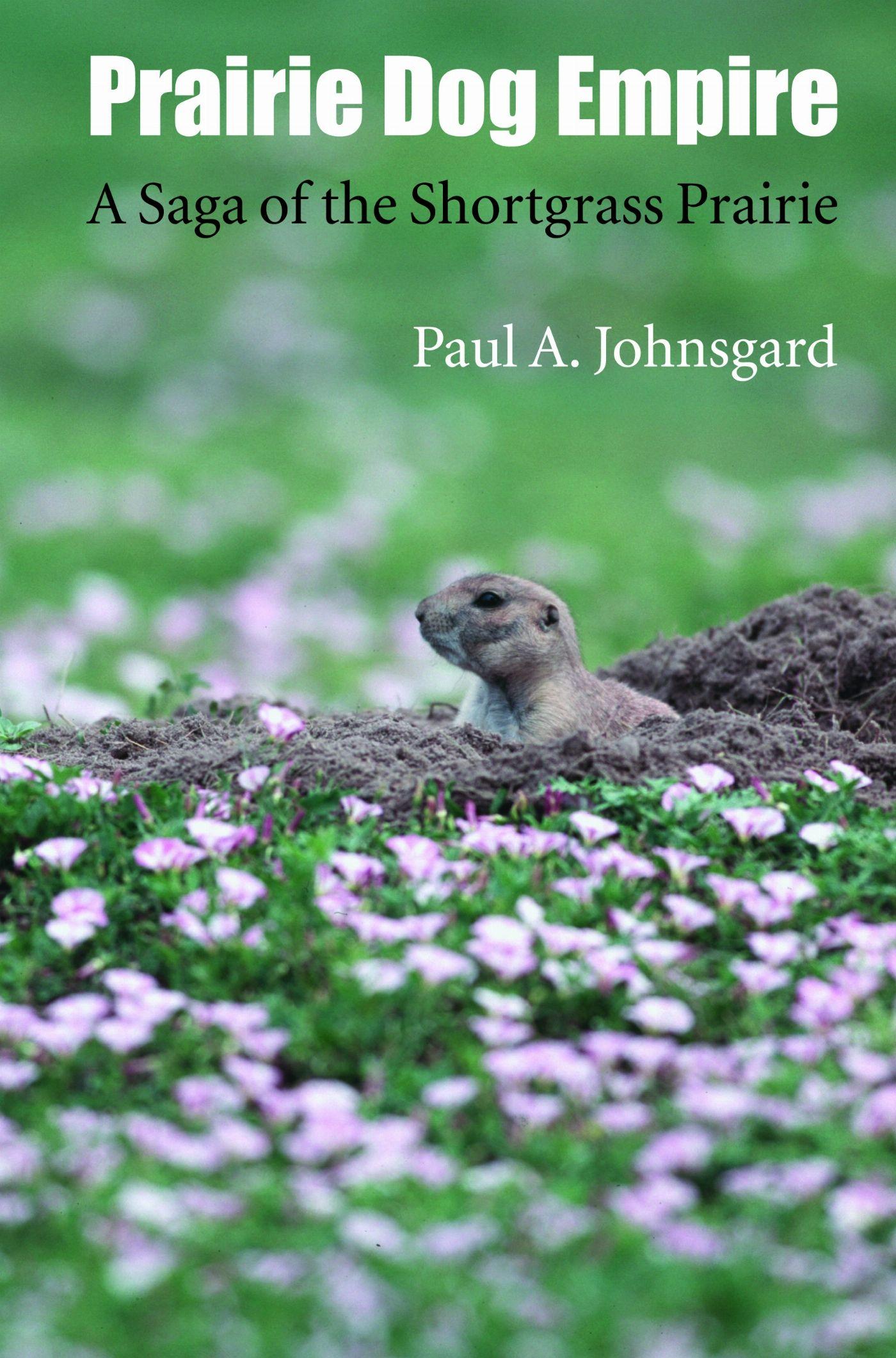 Vorderes Coverbild Prairie Dog Empire