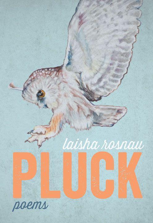 Vorderes Coverbild Pluck