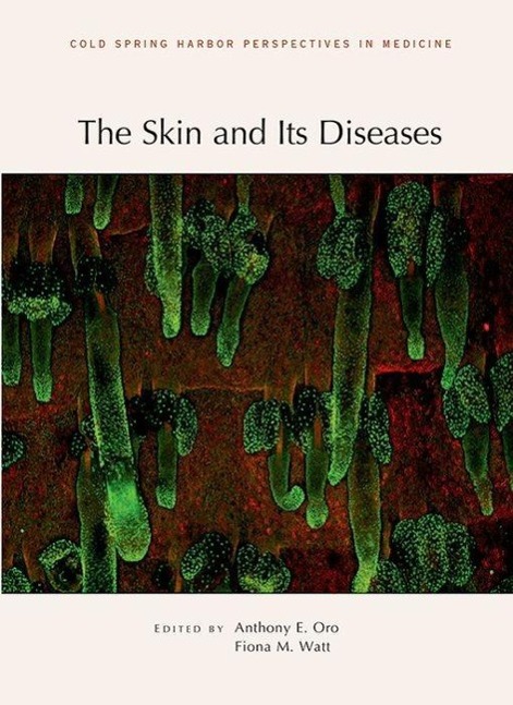 Vorderes Coverbild The Skin and Its Diseases