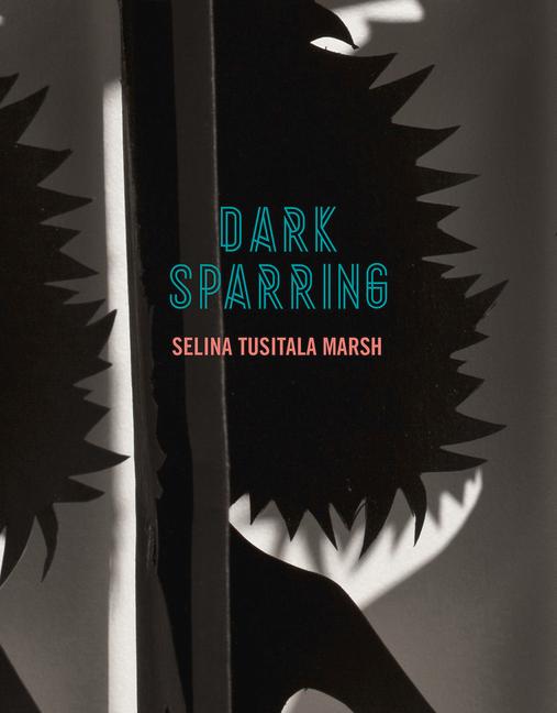 Vorderes Coverbild Dark Sparring