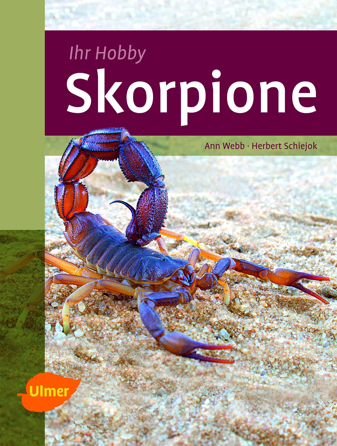Vorderes Coverbild Skorpione