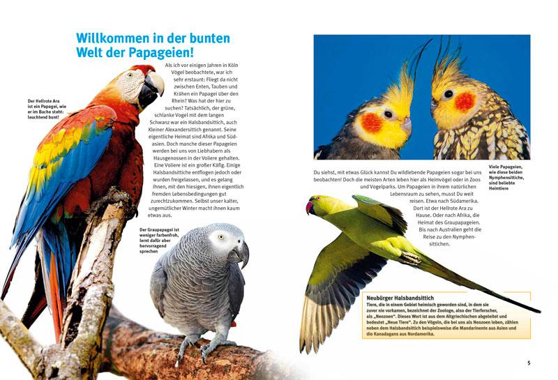 Beispielinhalt (Bild) Entdecke die Papageien