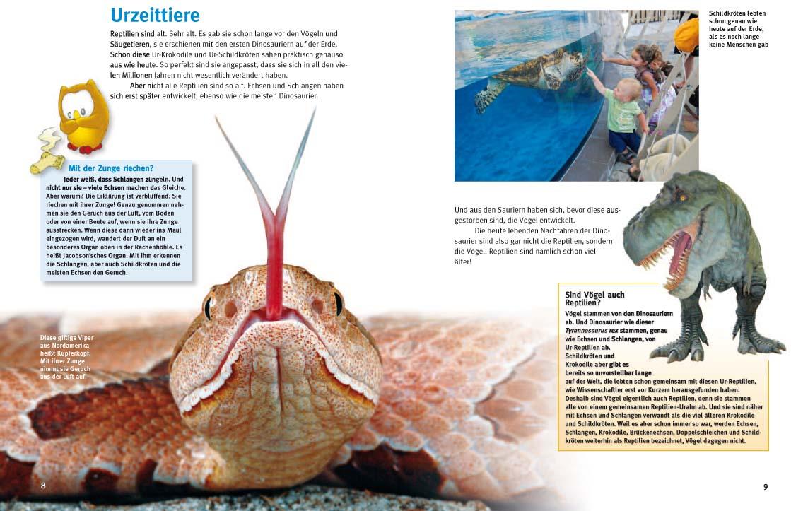 Beispielinhalt (Bild) Entdecke die Reptilien
