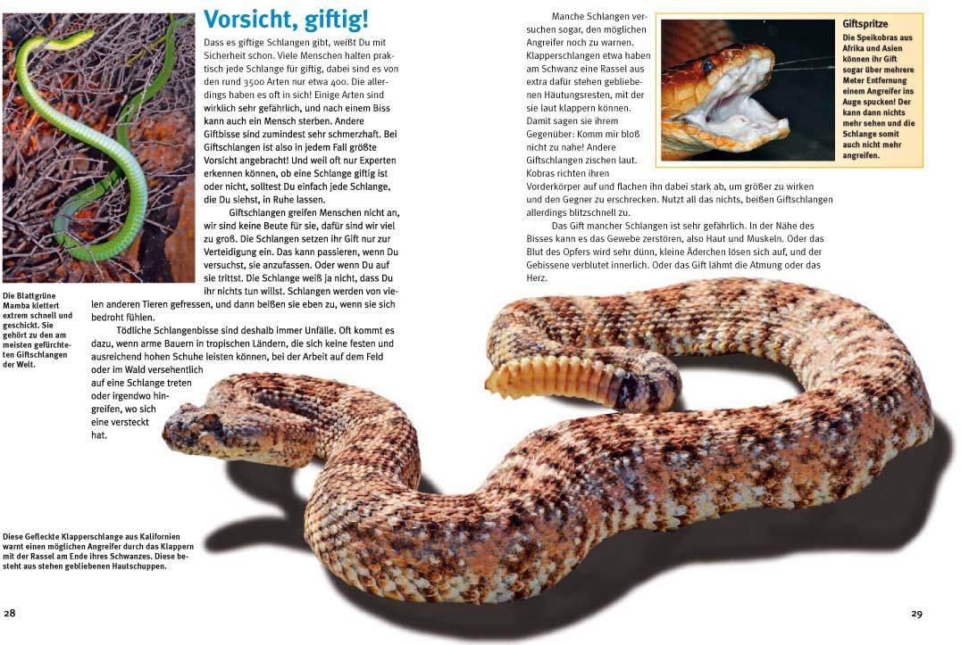 Beispielinhalt (Bild) Entdecke die Reptilien