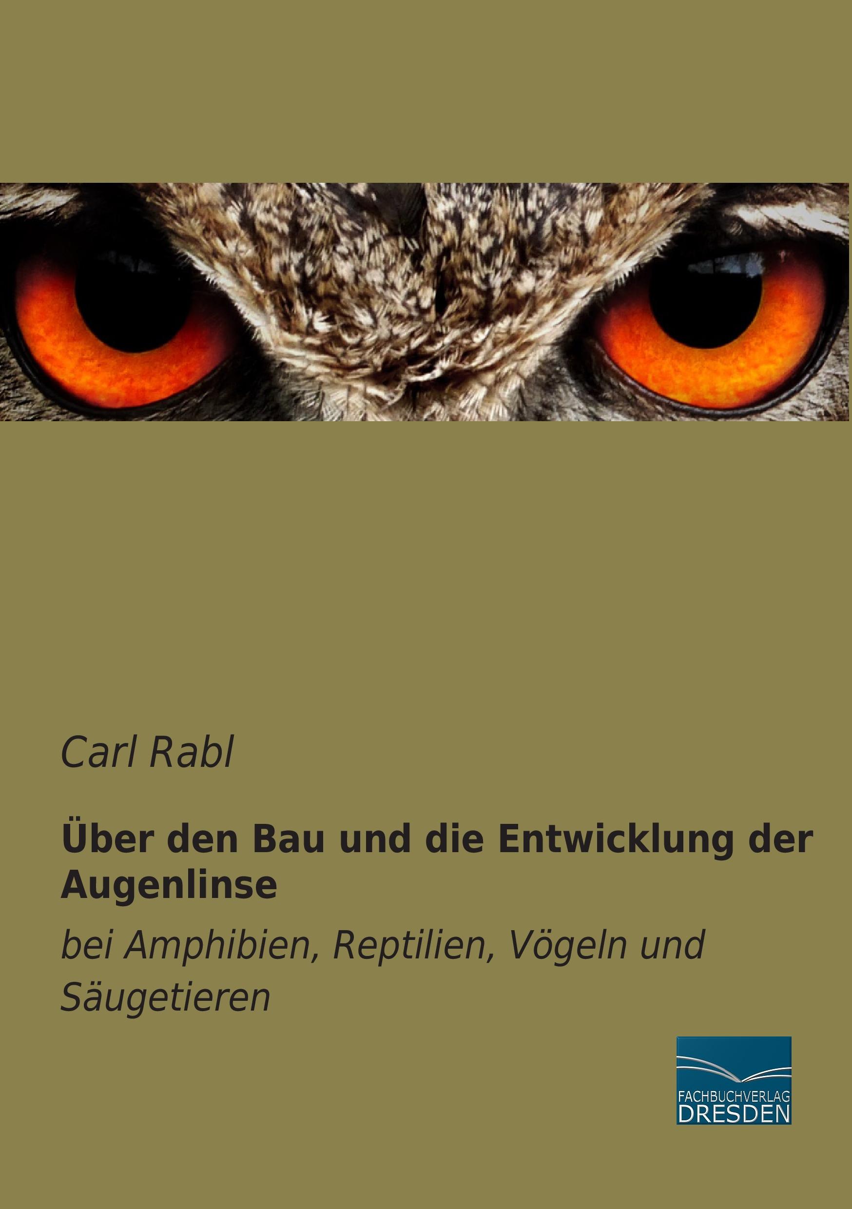 Vorderes Coverbild Über den Bau und die Entwicklung der Augenlinse