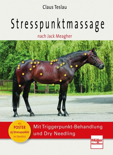 Vorderes Coverbild Stresspunktmassage nach Jack Meagher