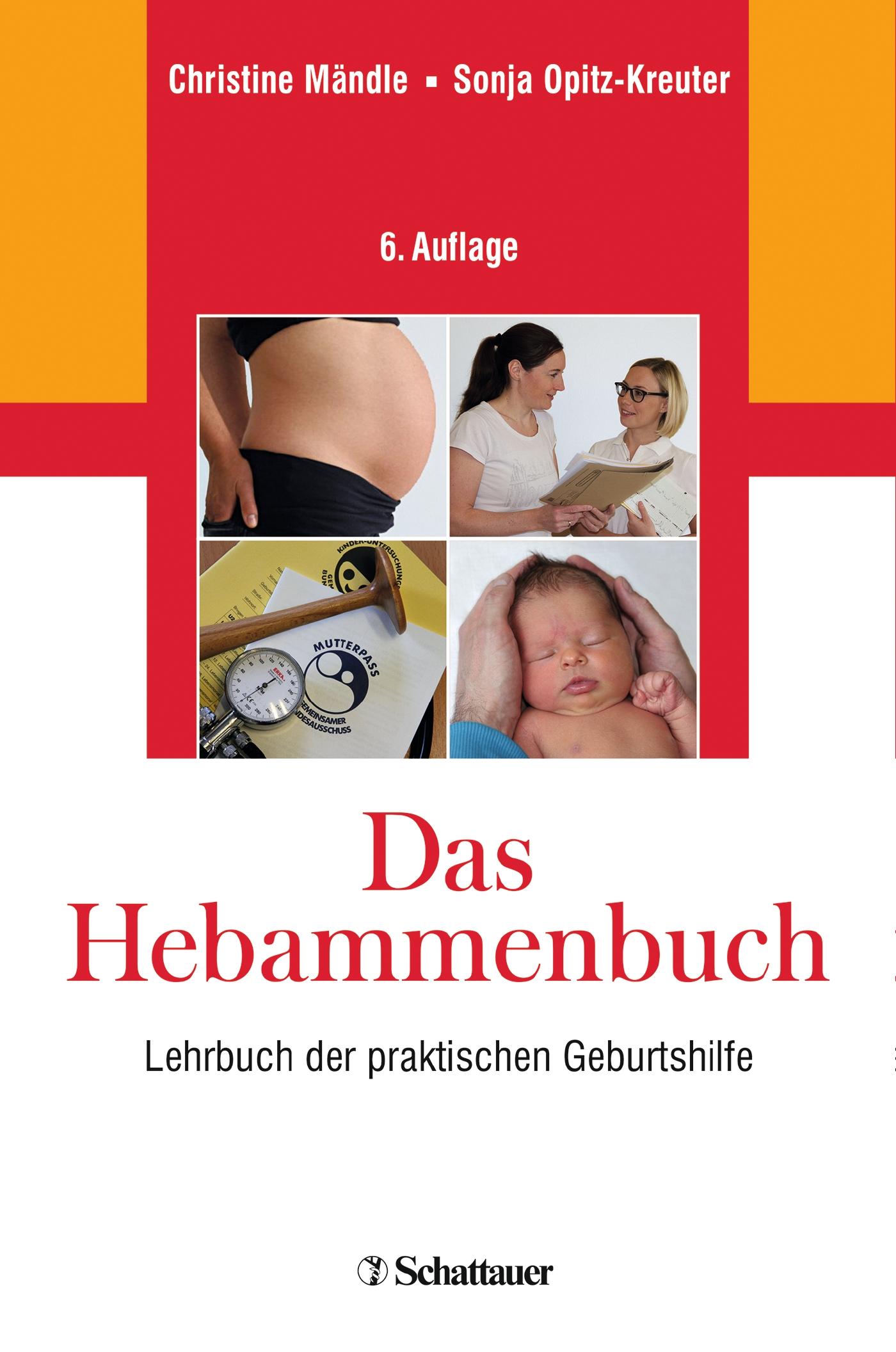 Vorderes Coverbild Das Hebammenbuch