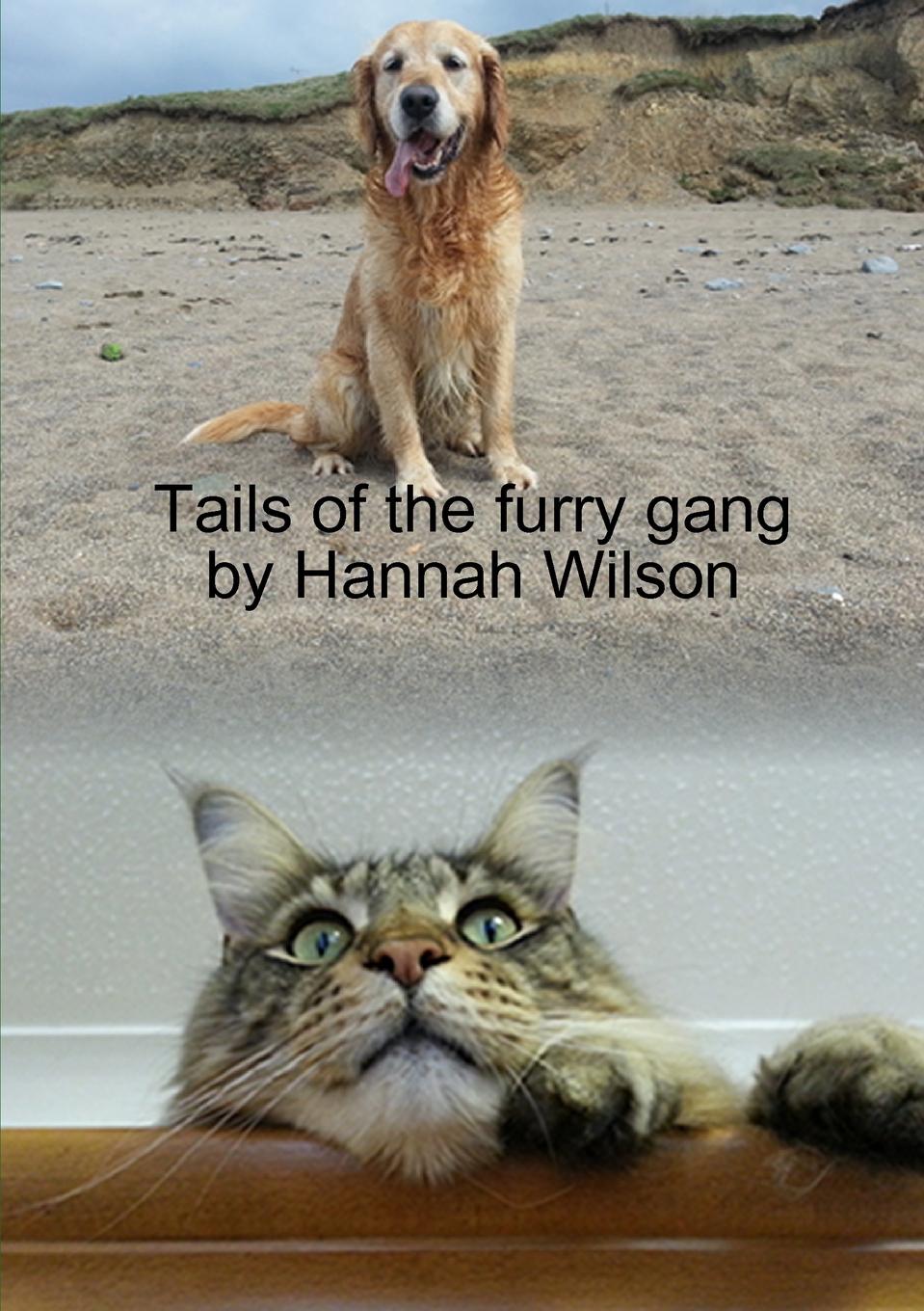 Vorderes Coverbild Tails of the furry gang