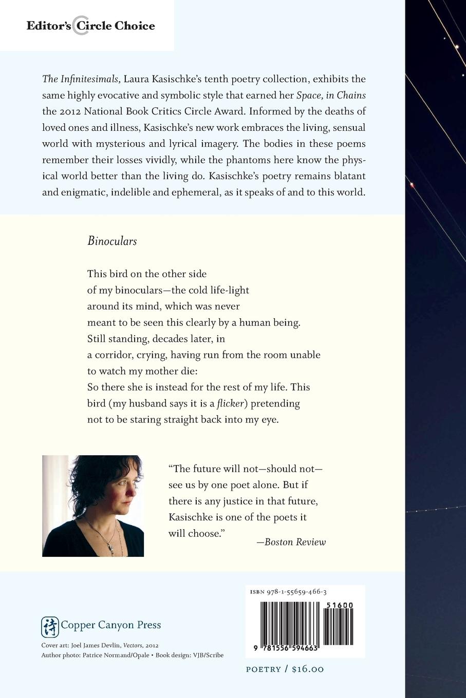 Rückseitencover The Infinitesimals