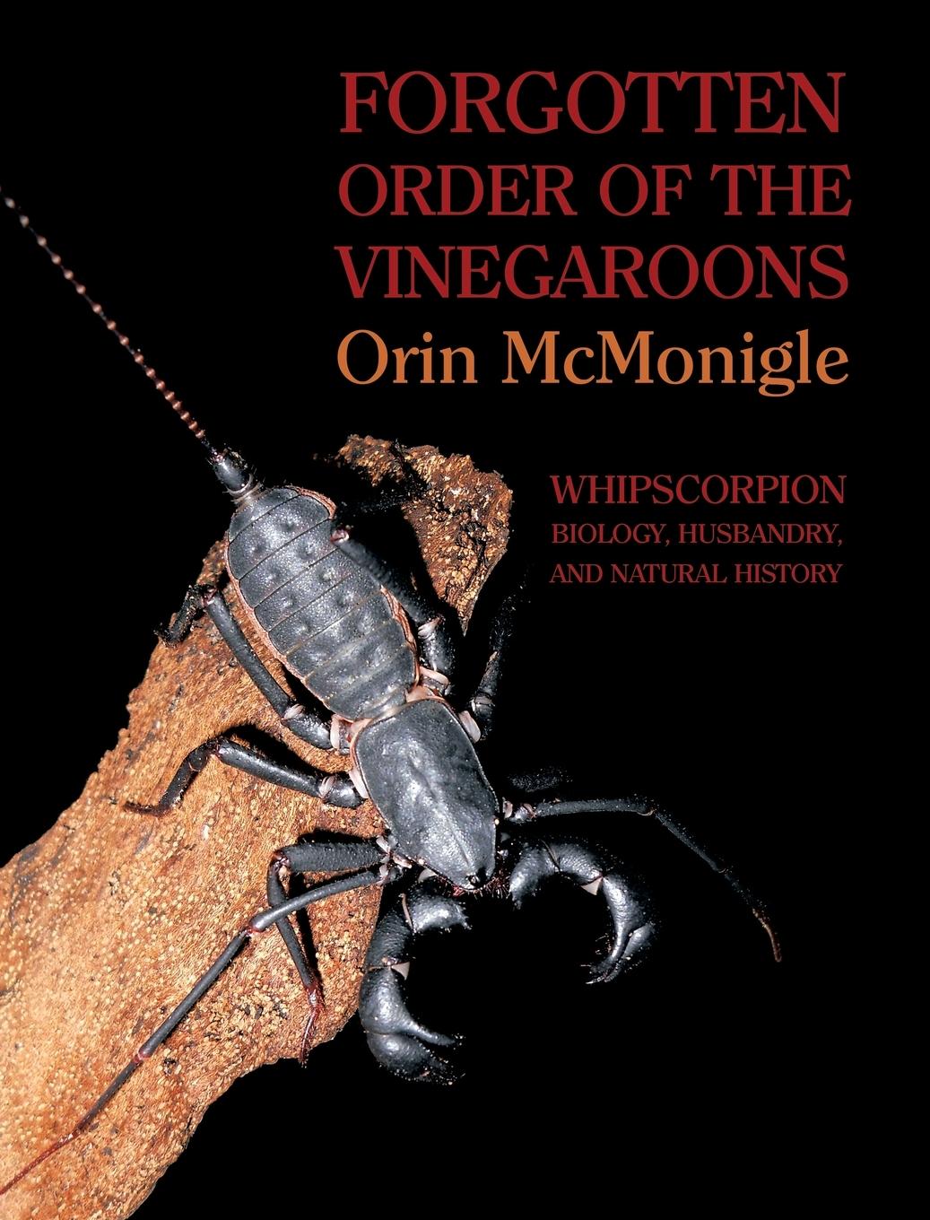 Vorderes Coverbild Forgotten Order of the Vinegaroons