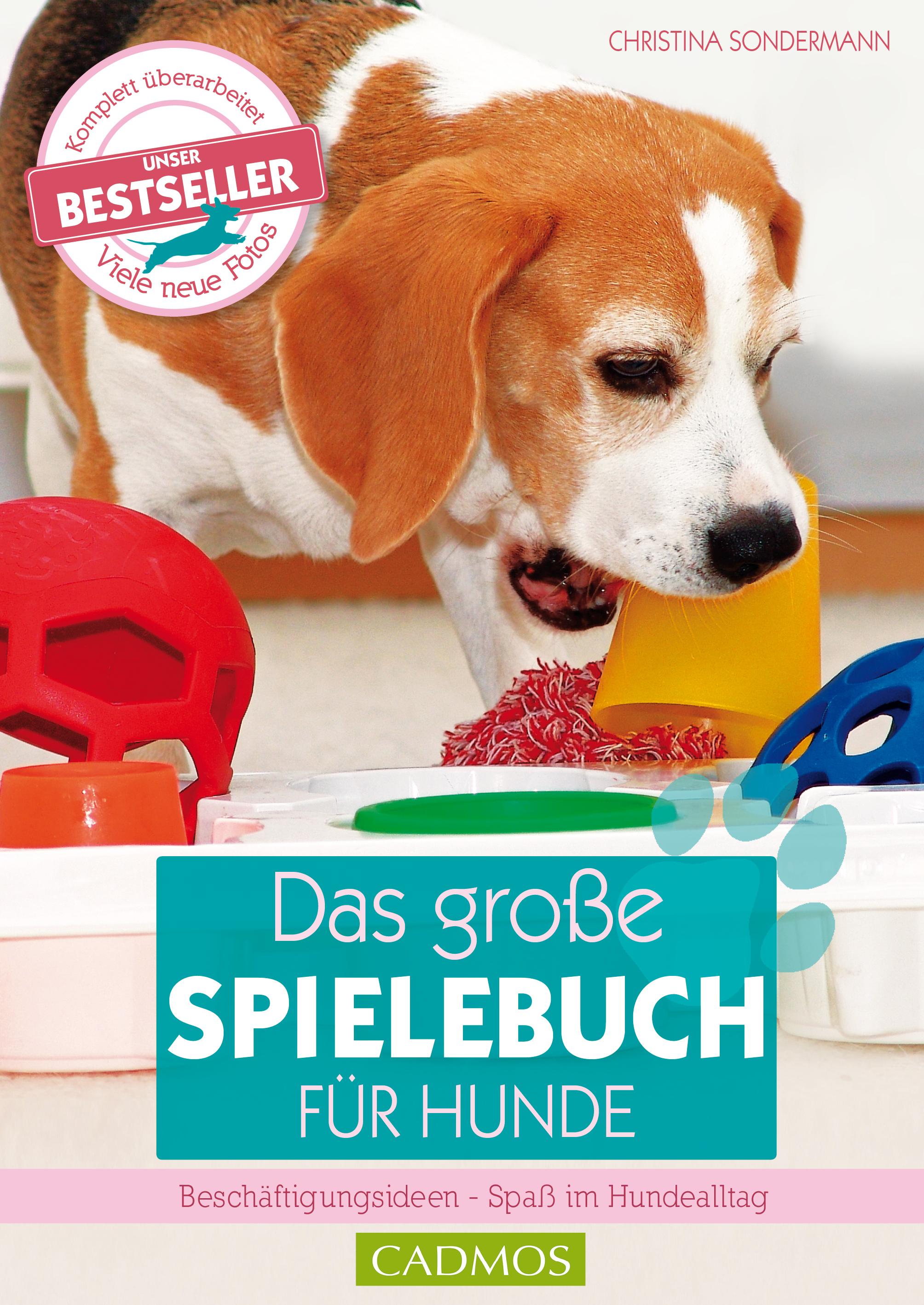 Vorderes Coverbild Das große Spielebuch für Hunde