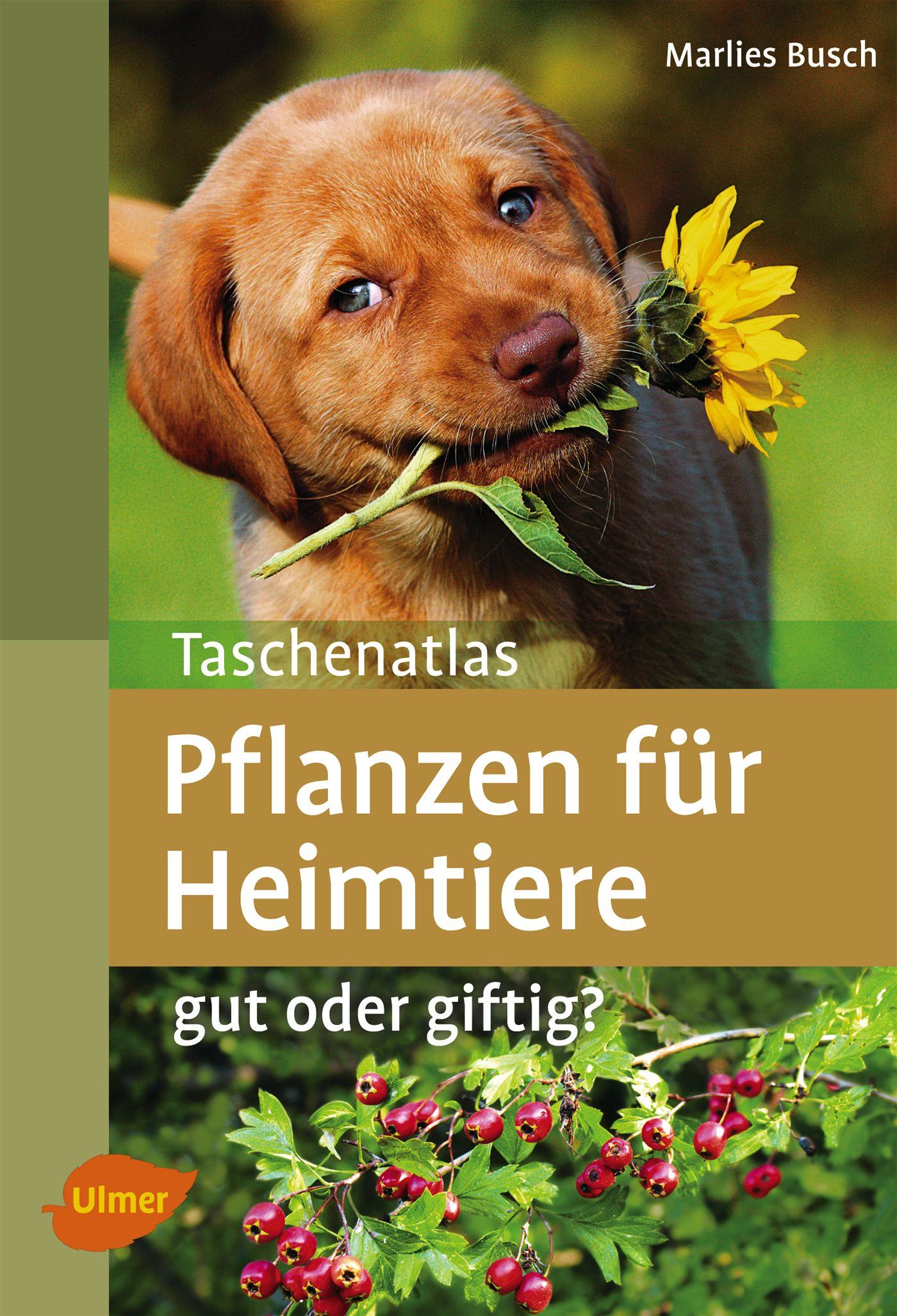 Vorderes Coverbild Taschenatlas Pflanzen für Heimtiere