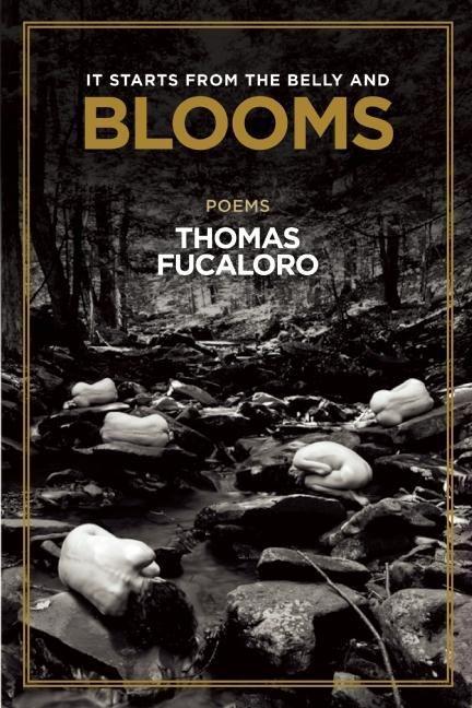 Vorderes Coverbild It Starts from the Belly and Blooms