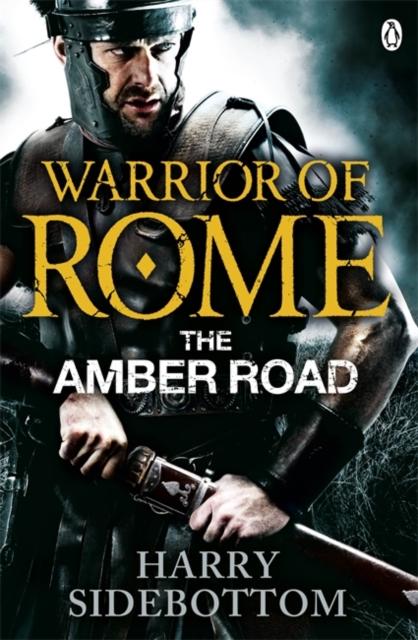 Vorderes Coverbild Warrior of Rome VI