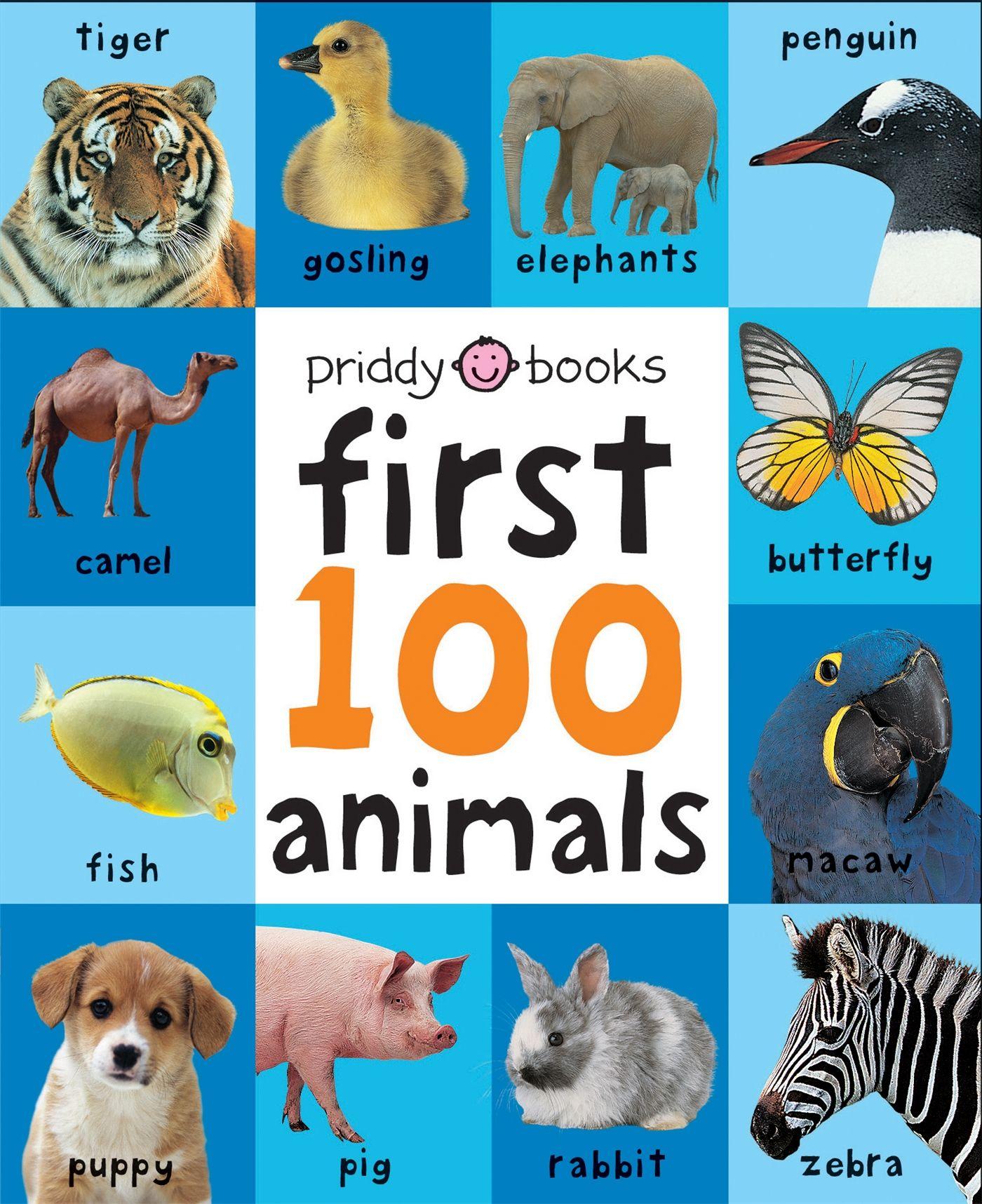Vorderes Coverbild First 100 Animals