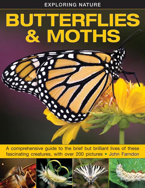 Vorderes Coverbild Exploring Nature: Butterflies & Moths