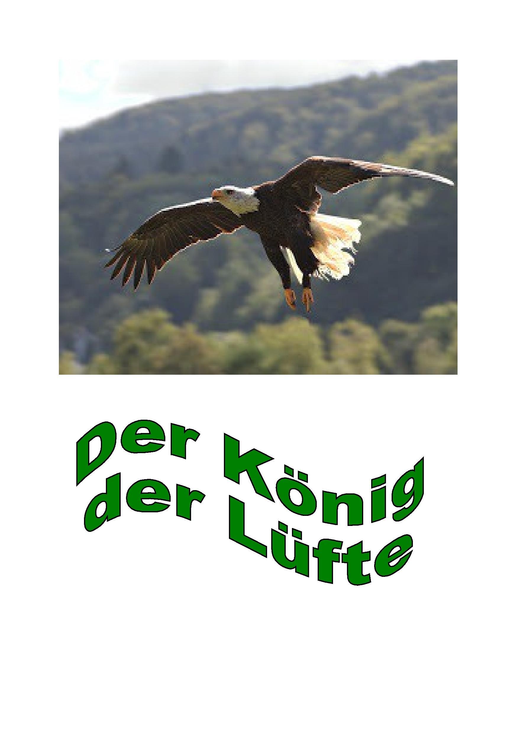 Vorderes Coverbild Der König der Lüfte
