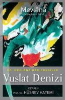Vorderes Coverbild Vuslat Denizi