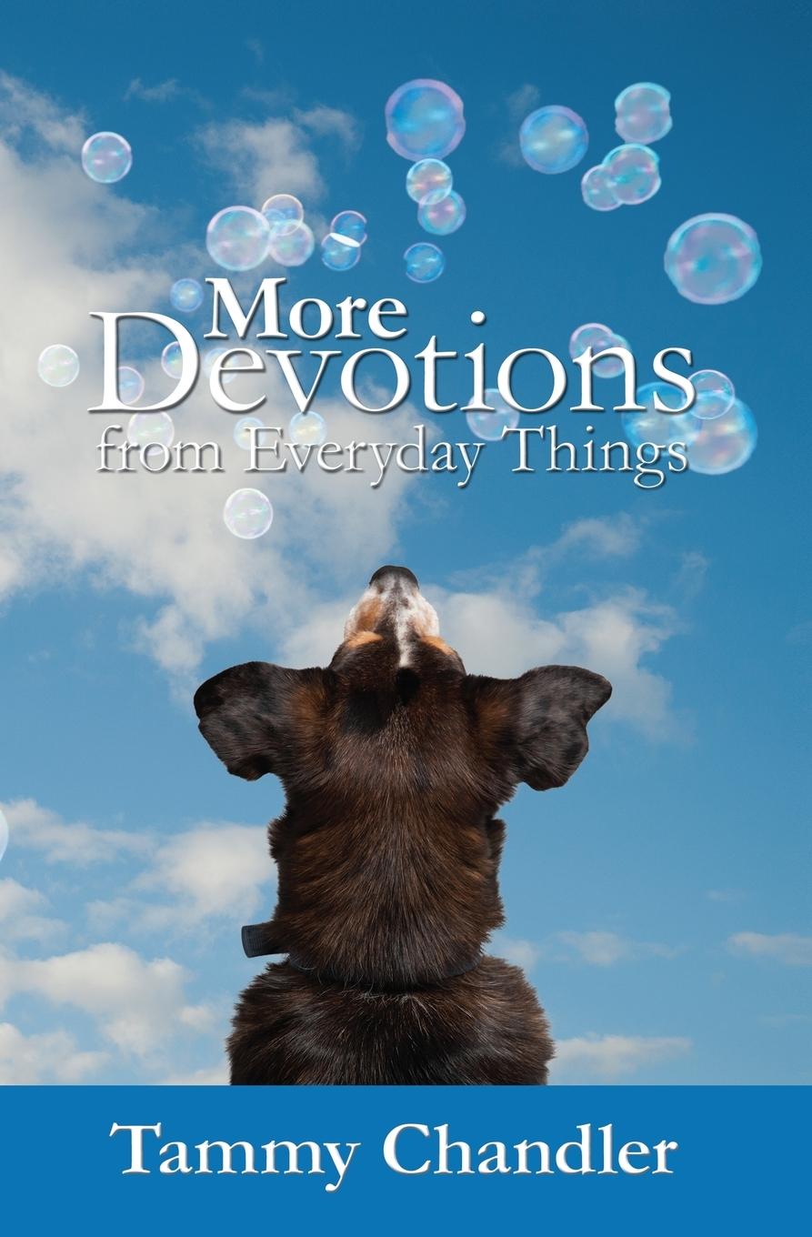 Vorderes Coverbild More Devotions from Everyday Things