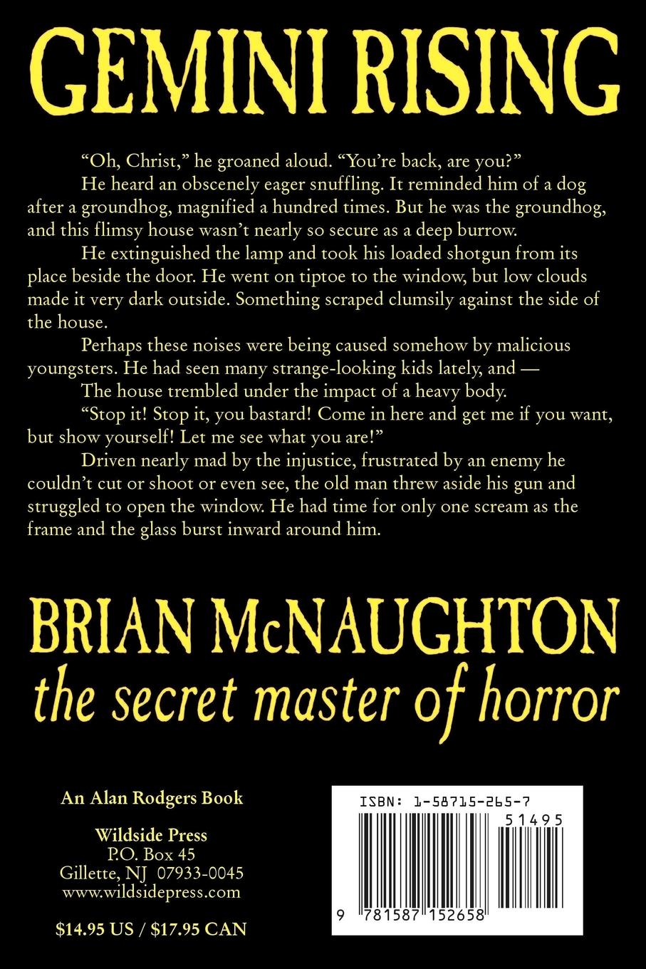 Rückseitencover Gemini Rising