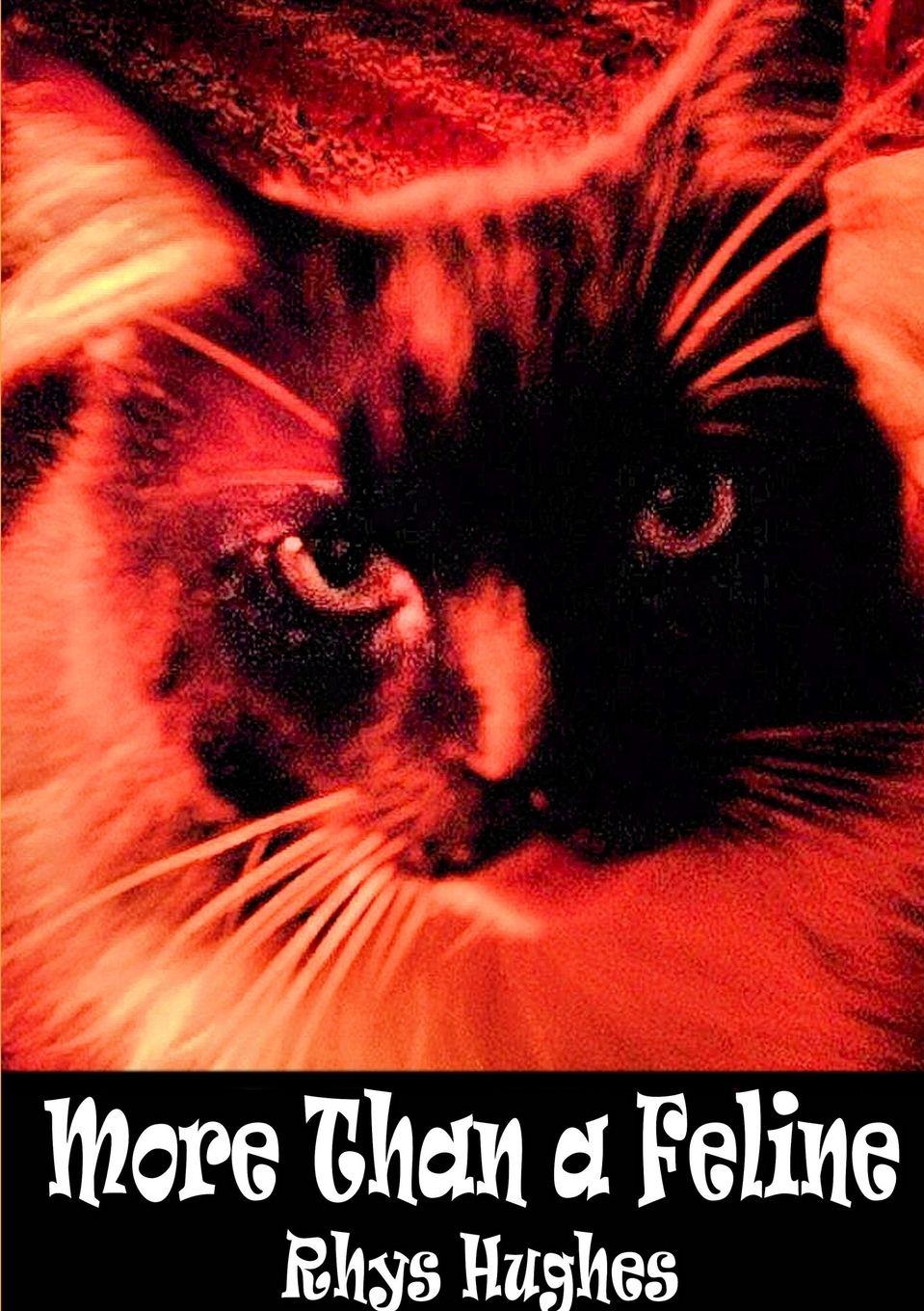 Vorderes Coverbild More Than a Feline