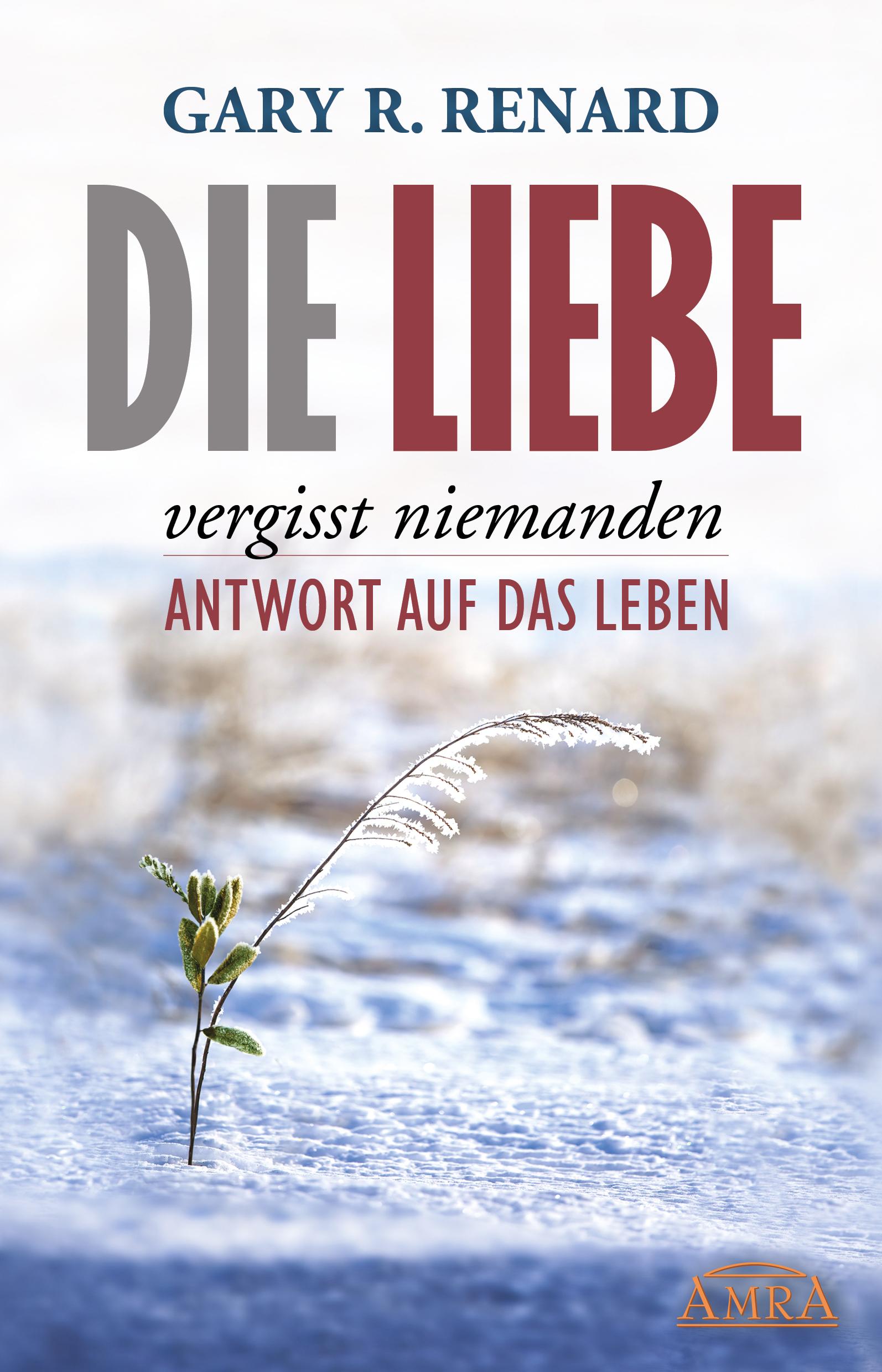 Vorderes Coverbild Die Liebe vergisst niemanden