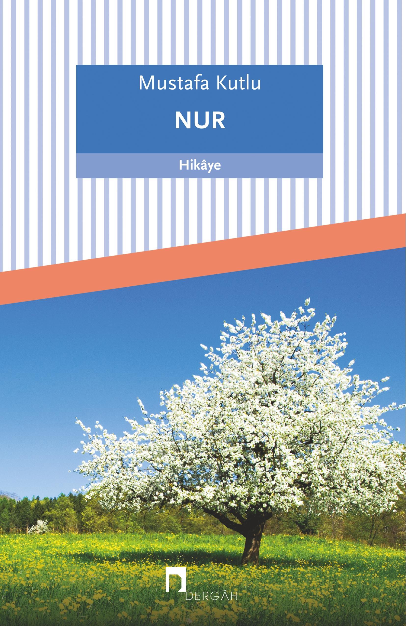 Vorderes Coverbild Nur