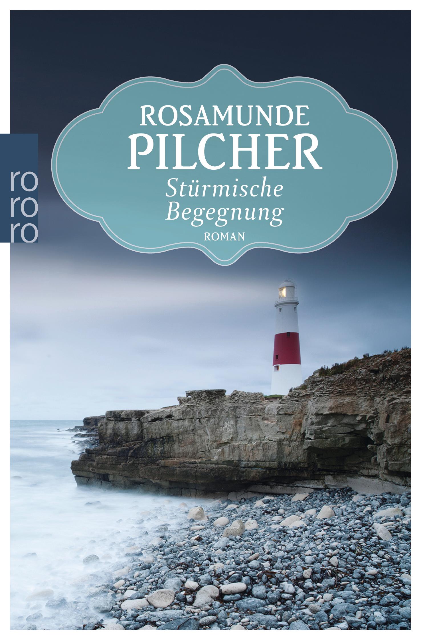 Vorderes Coverbild Stürmische Begegnung