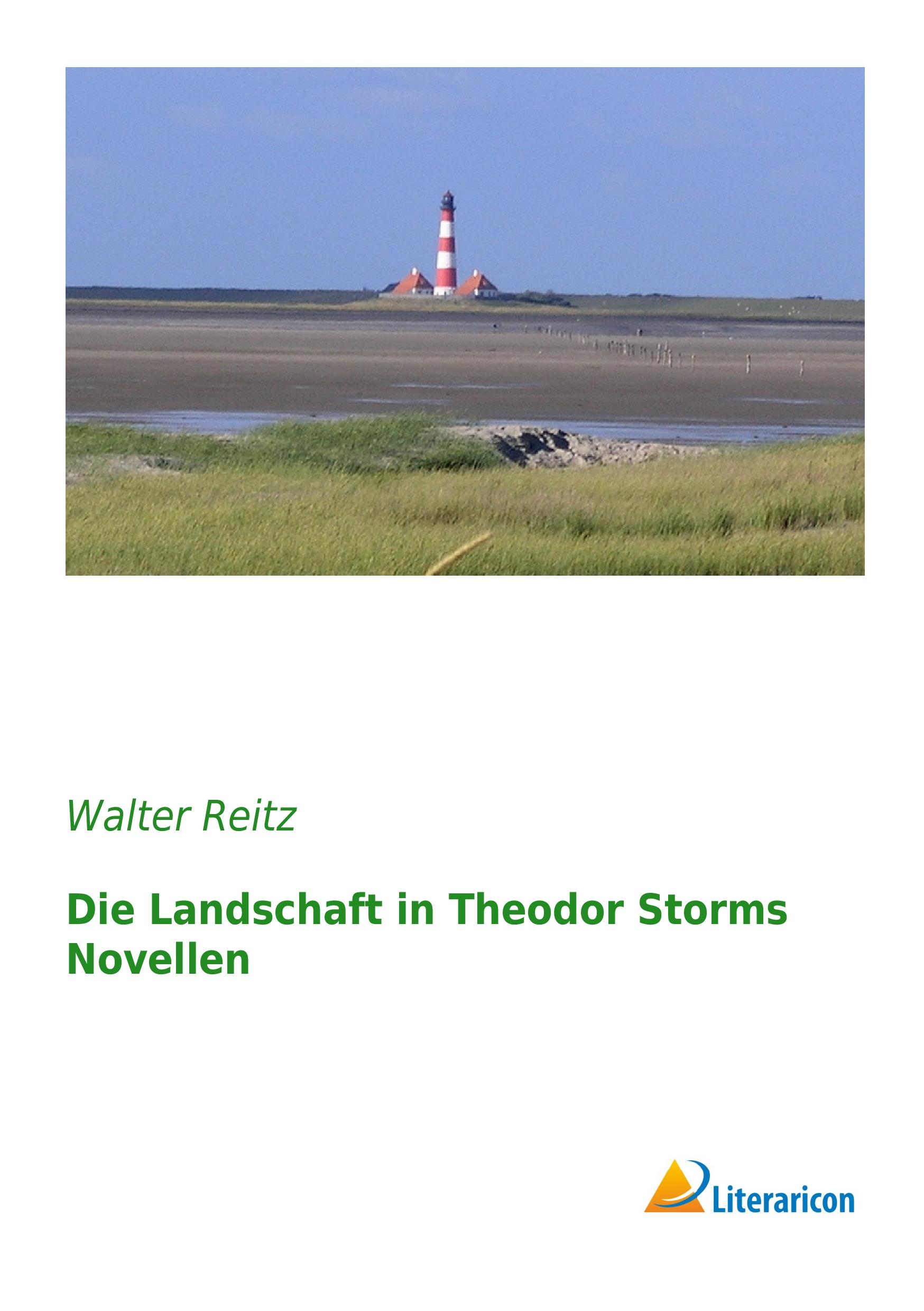 Vorderes Coverbild Die Landschaft in Theodor Storms Novellen