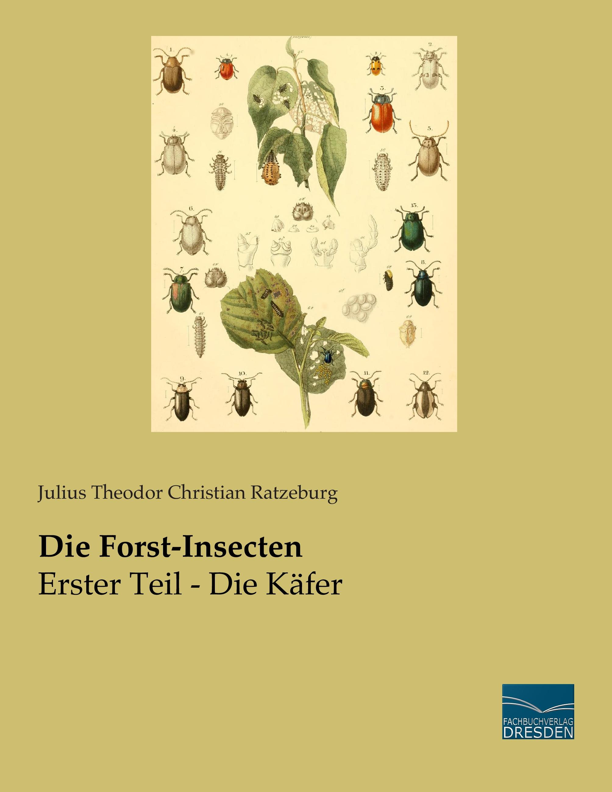 Vorderes Coverbild Die Forst-Insecten
