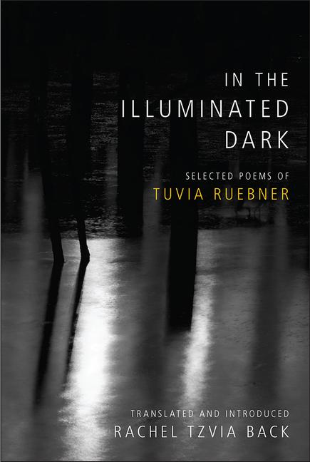 Vorderes Coverbild In the Illuminated Dark