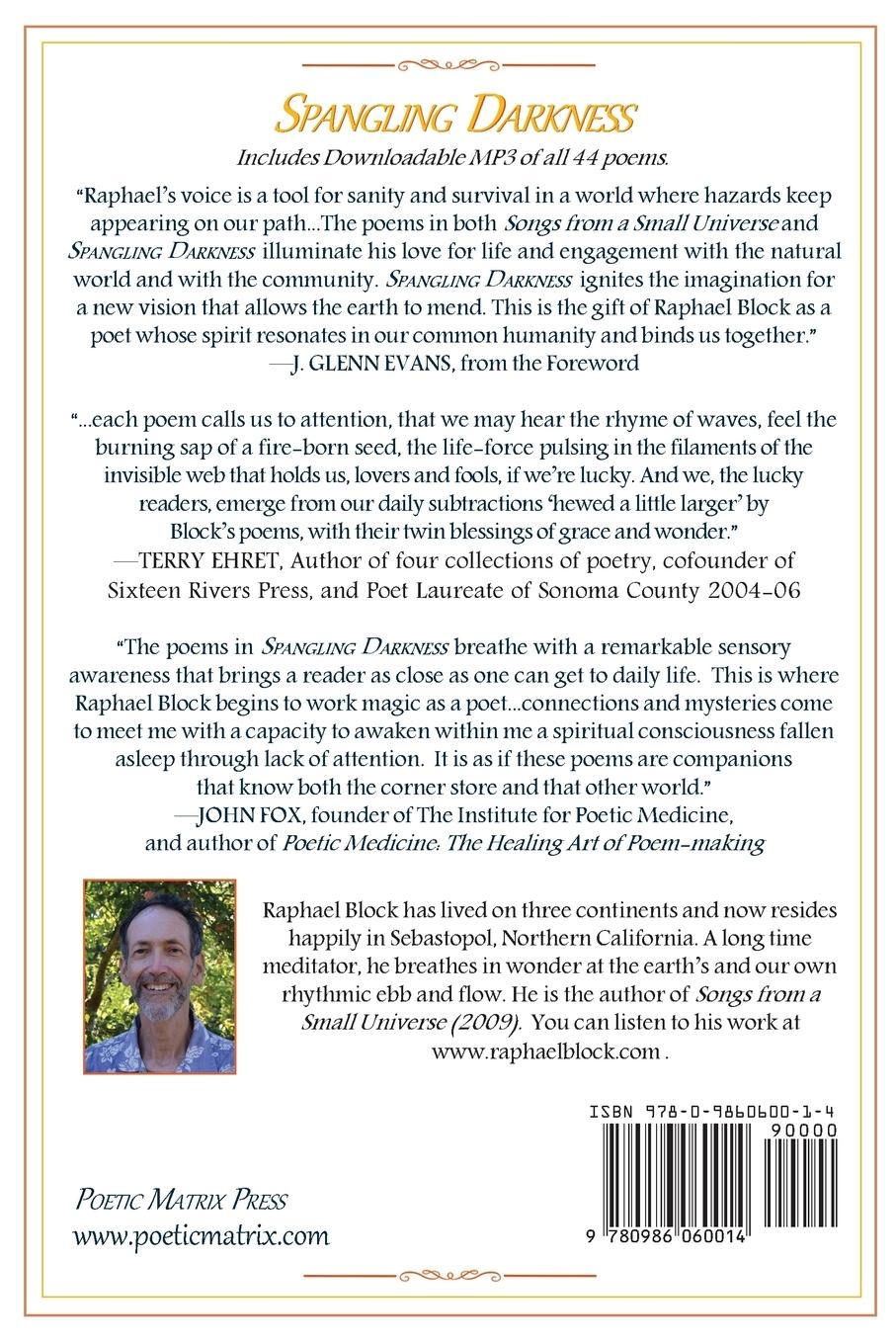 Rückseitencover Spangling Darkness