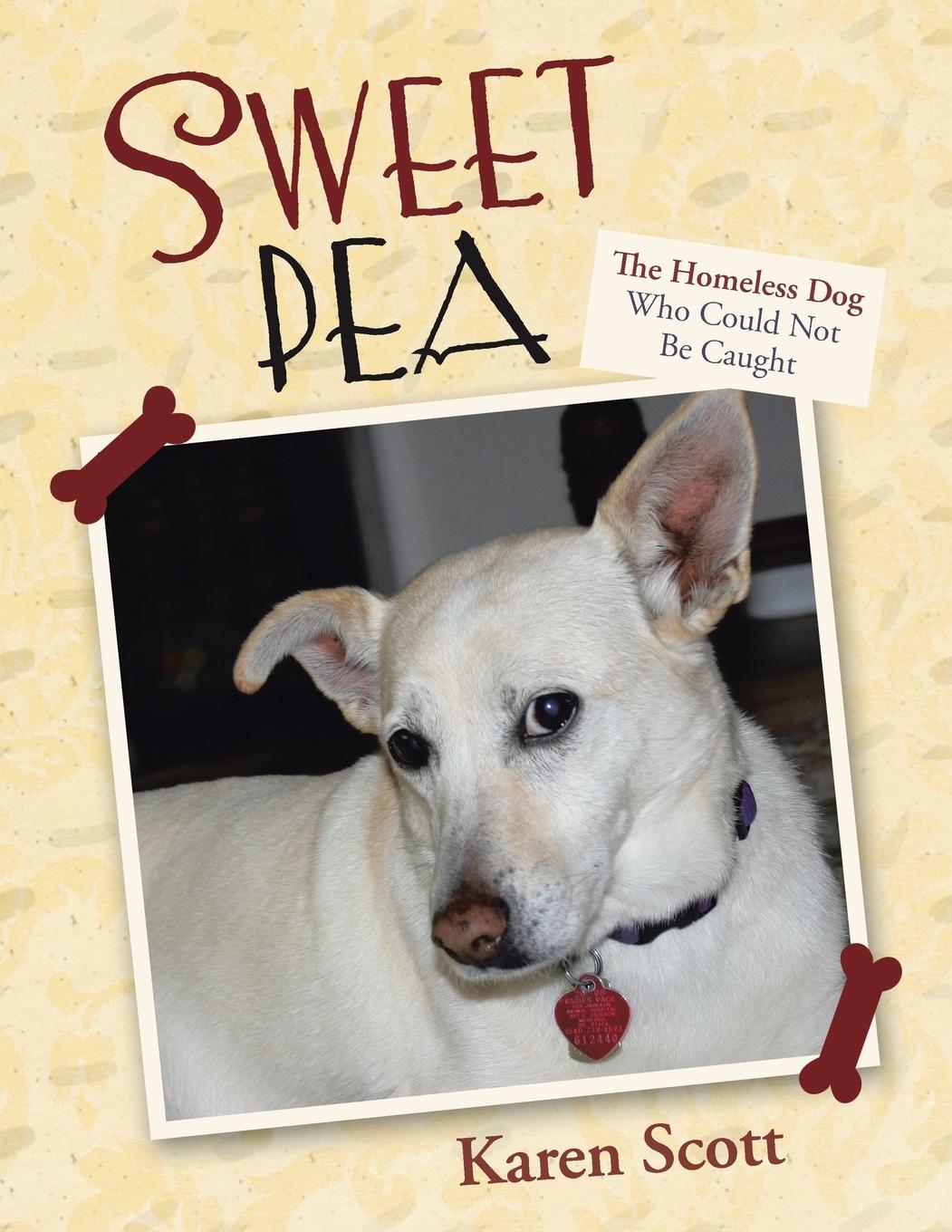 Vorderes Coverbild Sweet Pea