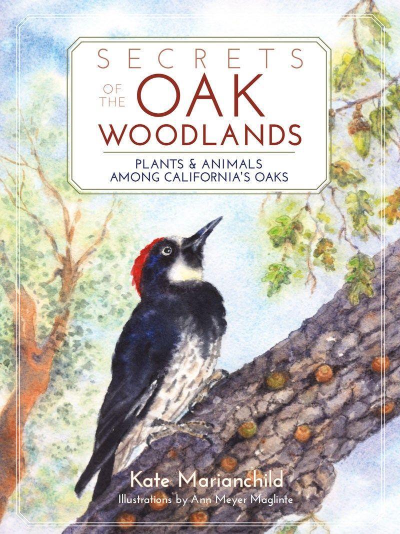 Vorderes Coverbild Secrets of the Oak Woodlands
