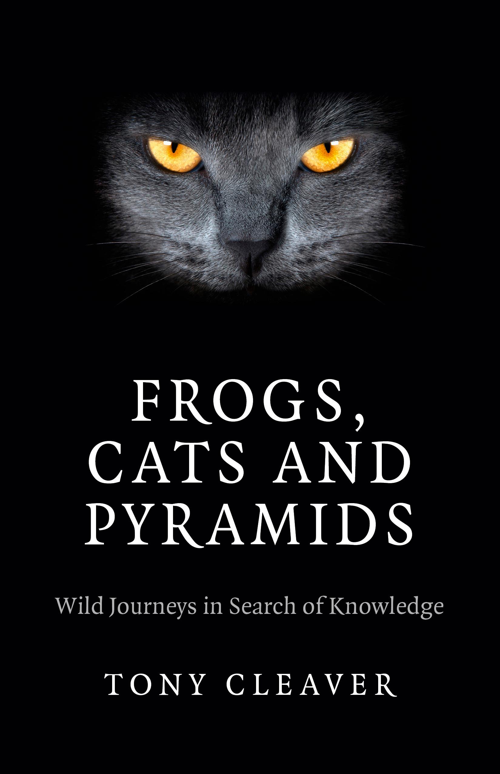 Vorderes Coverbild Frogs, Cats and Pyramids