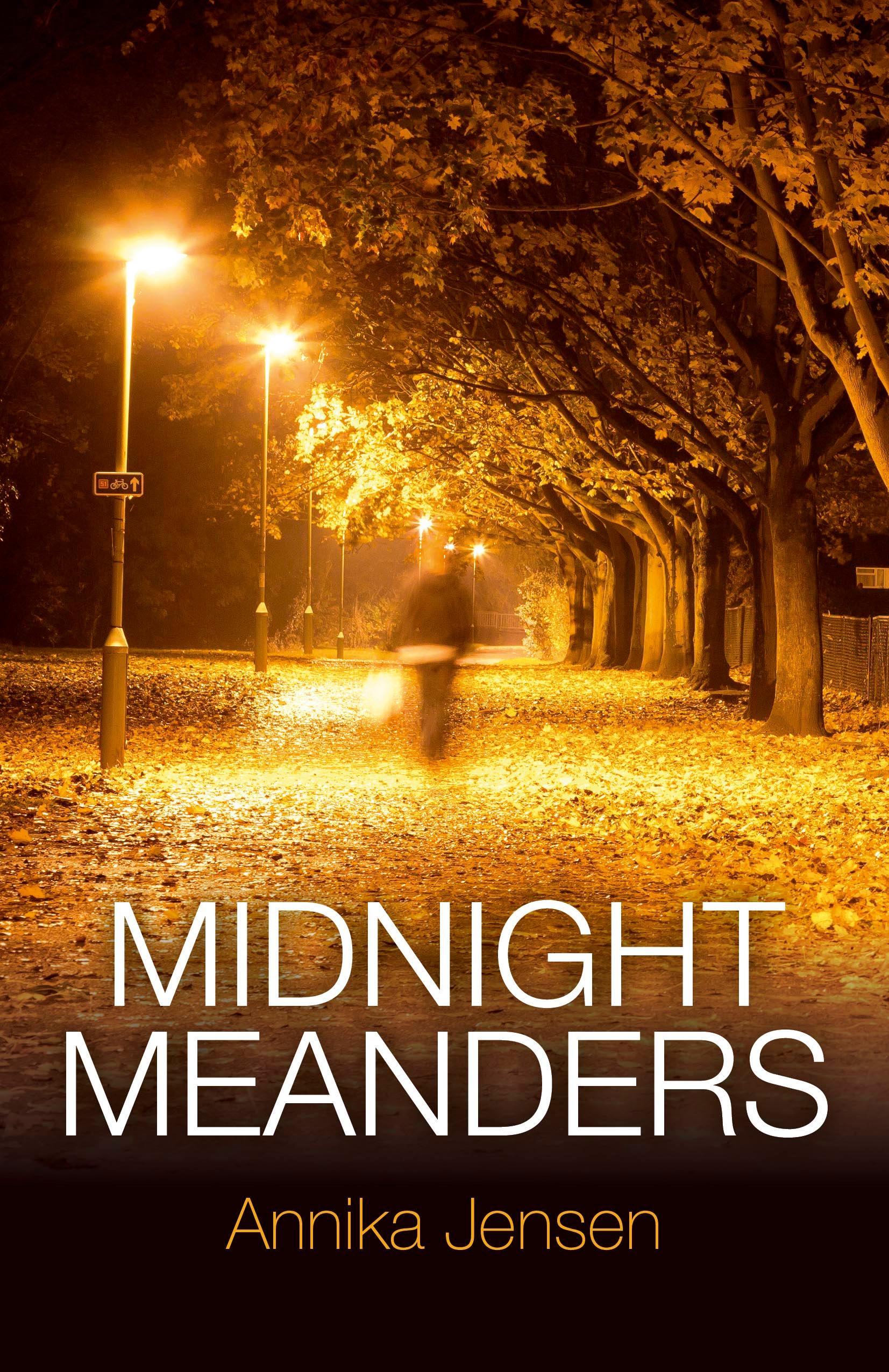 Vorderes Coverbild Midnight Meanders
