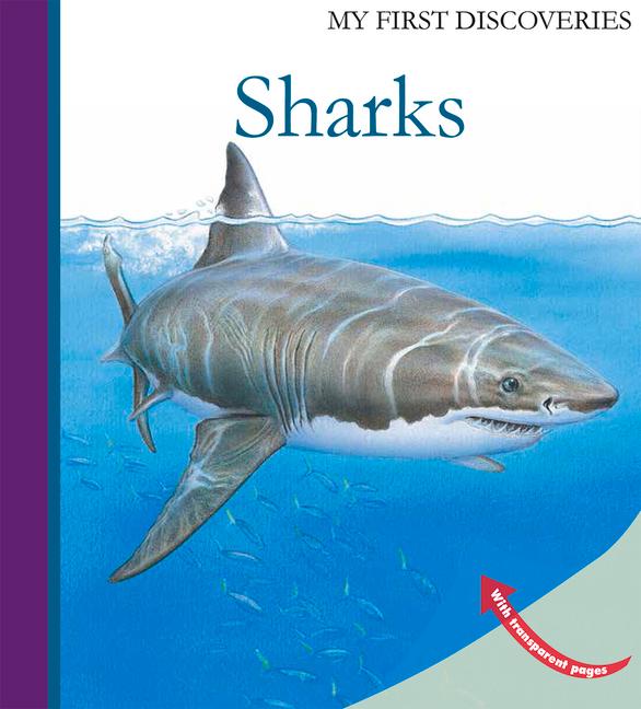 Vorderes Coverbild Sharks